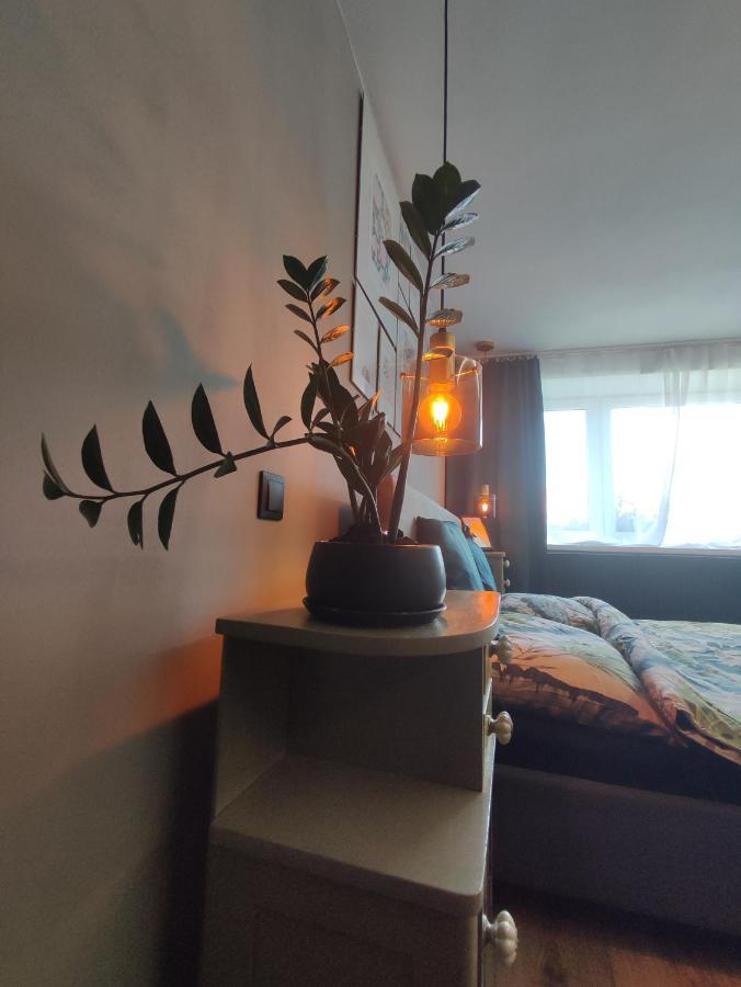 Dian Feelhome Banska Bela Buitenkant foto